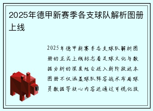 2025年德甲新赛季各支球队解析图册上线
